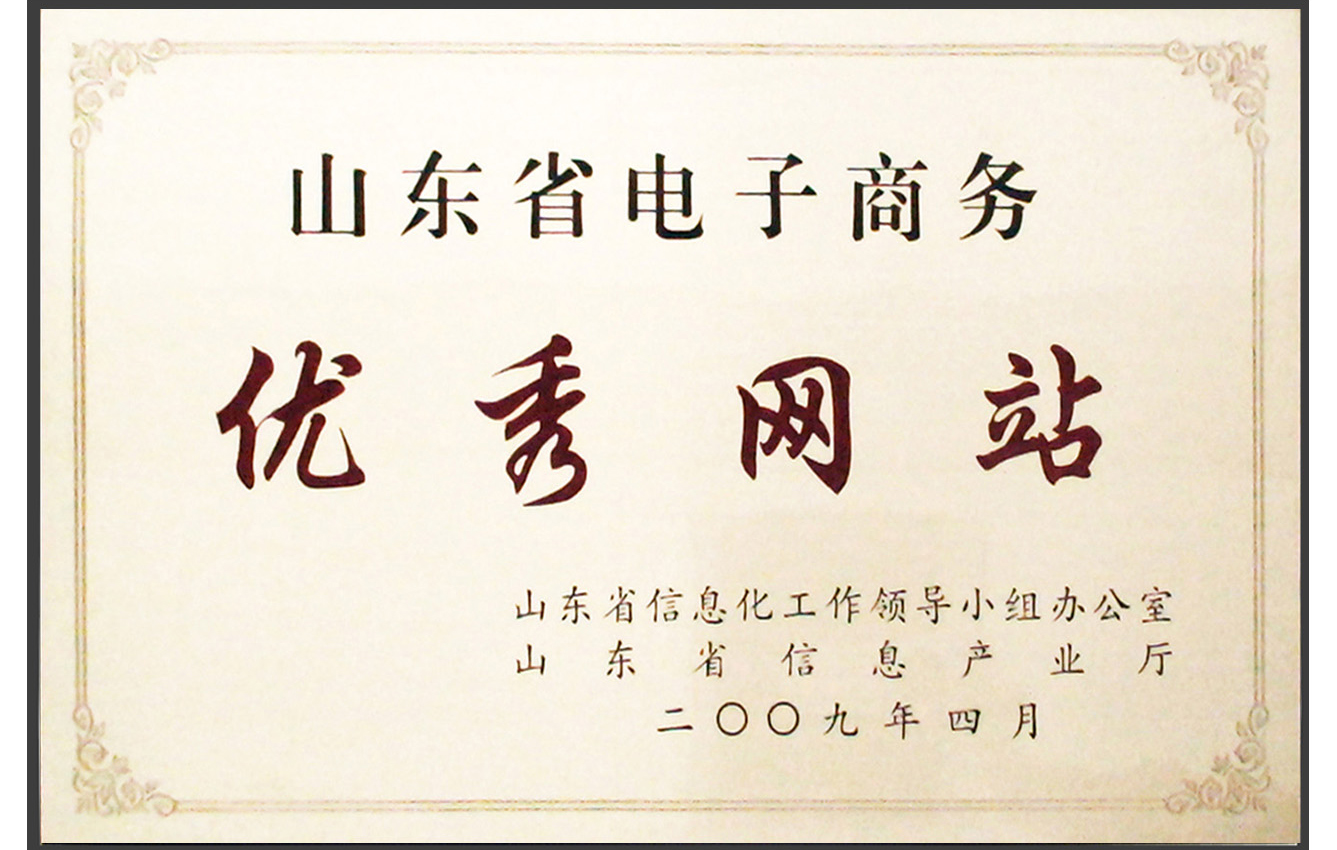 主題：山東省電子商務優(yōu)秀網站 日期：2009-06-05